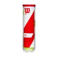 Wilson Tennisbälle Team W Practice Dose 4er